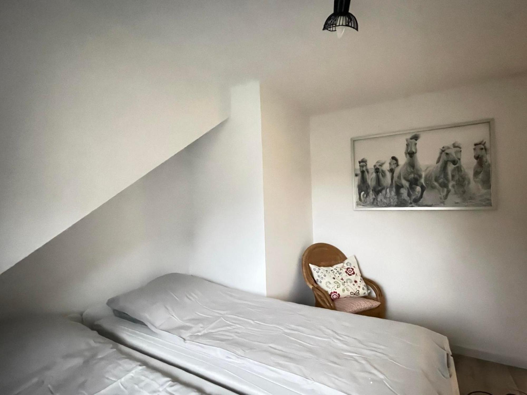 Ostoya Roztocze Hotell Szczebrzeszyn Exteriör bild