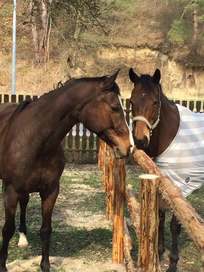 Ostoya Roztocze Hotell Szczebrzeszyn Exteriör bild